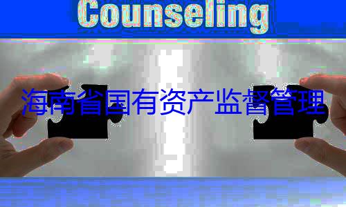 理委员会党海南省国有查调查有福接受审资产监督管委副书记王